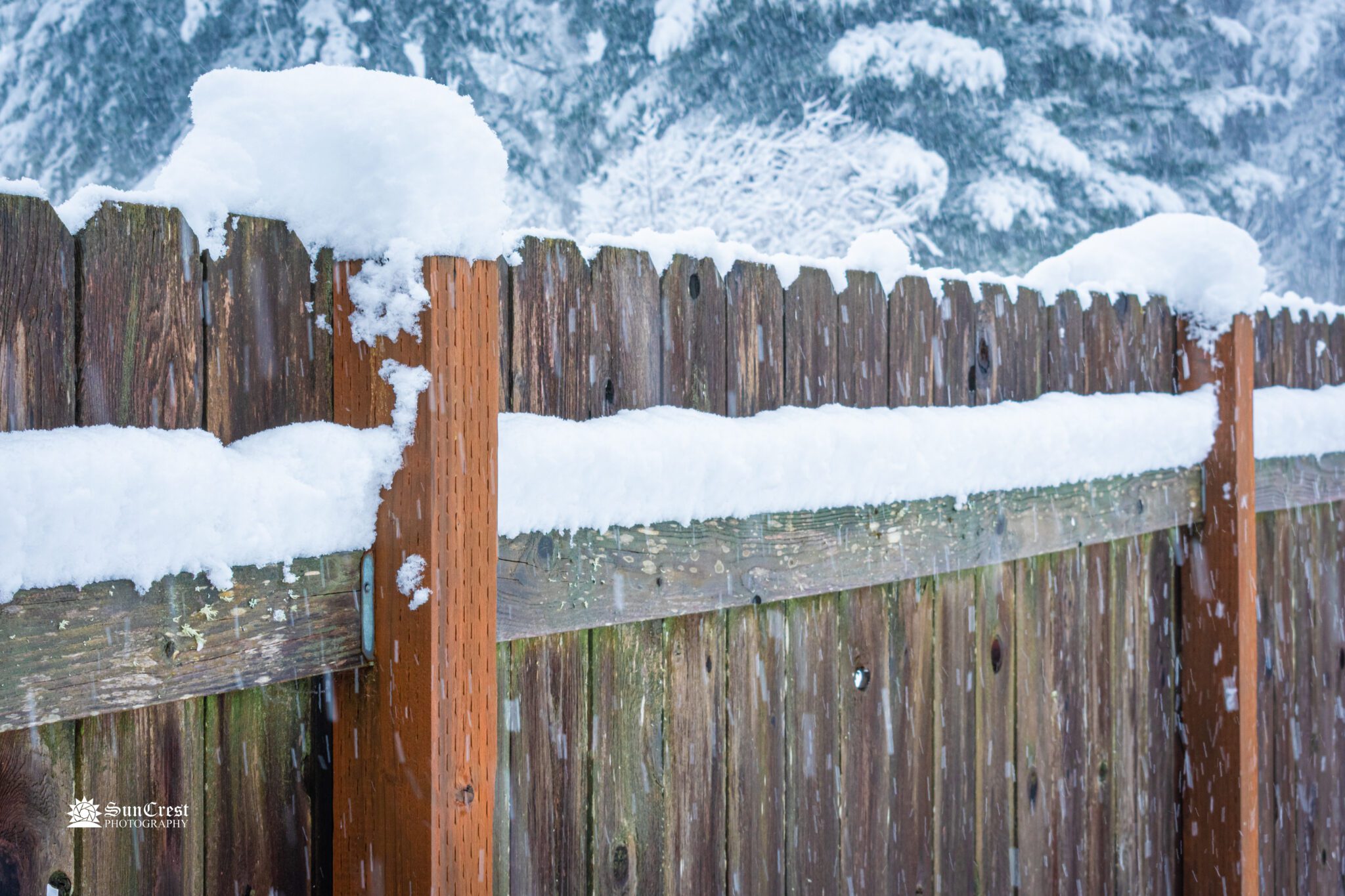 Snowy Fence